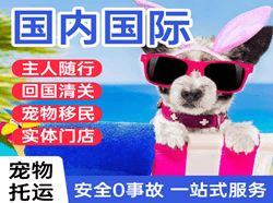 锡林浩特机场快递国际宠物托运 【国